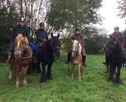 Roosje, Leo, Staas en Blacky tijdens de paardenvierdaagse